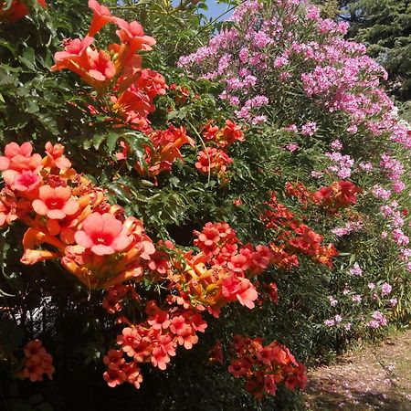 Ostello Delle Cartiere 토스콜라노마데노 외부 사진